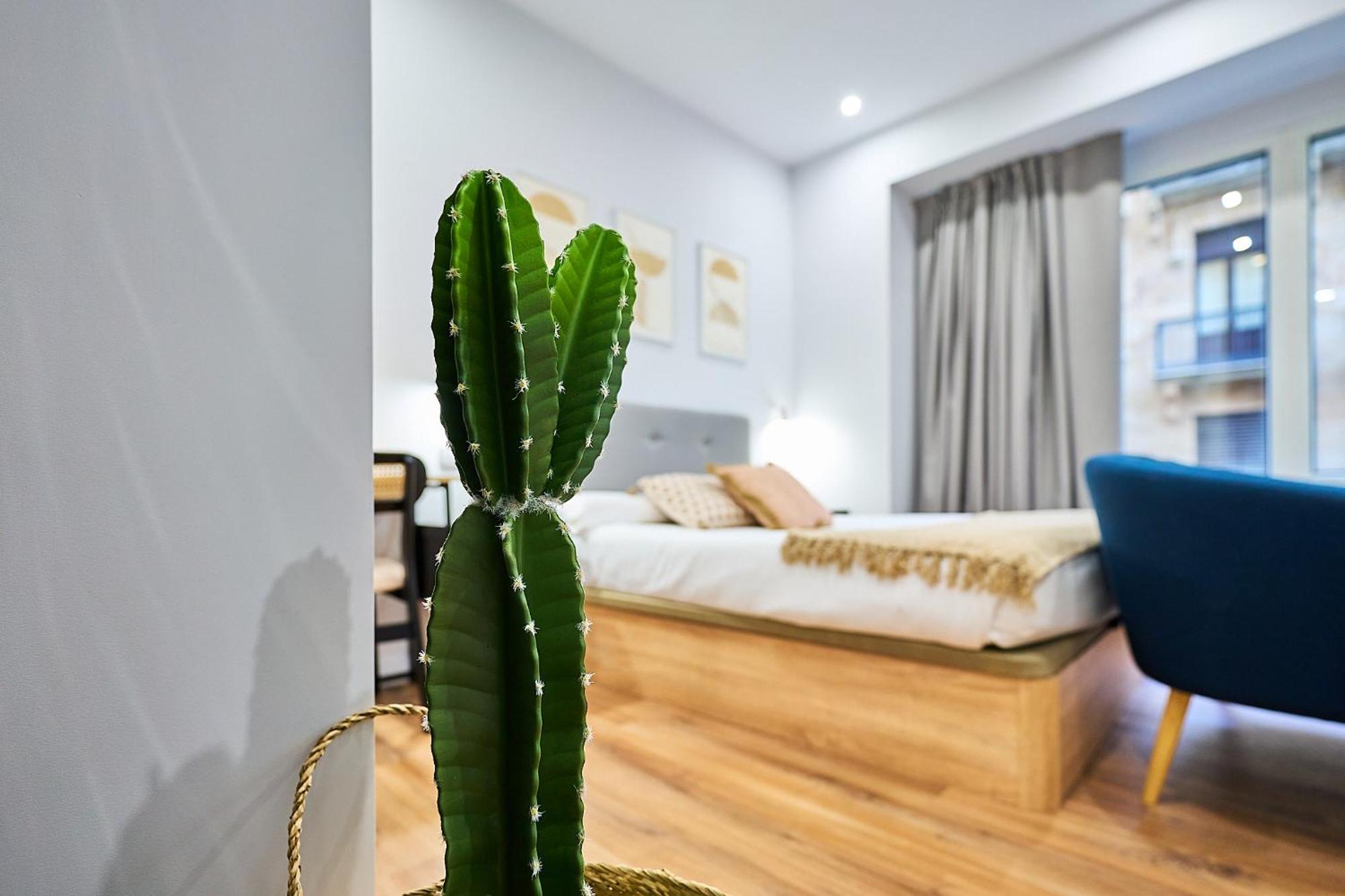 Apartamentos Esperanza By Gaiarooms サラマンカ エクステリア 写真